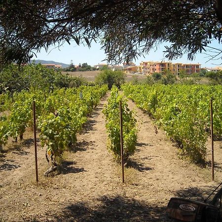 Agriturismo Crabileddu Ξενοδοχείο Valledoria  Εξωτερικό φωτογραφία
