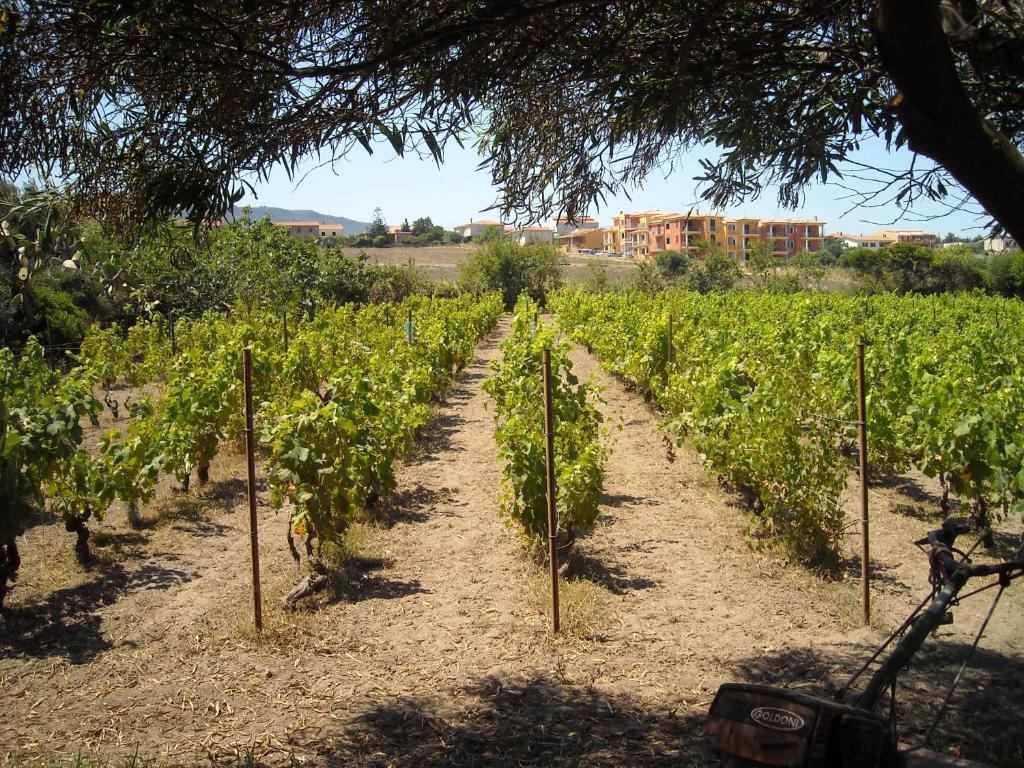 Agriturismo Crabileddu Ξενοδοχείο Valledoria  Εξωτερικό φωτογραφία